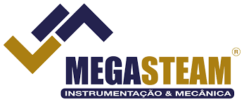 MegaSteam